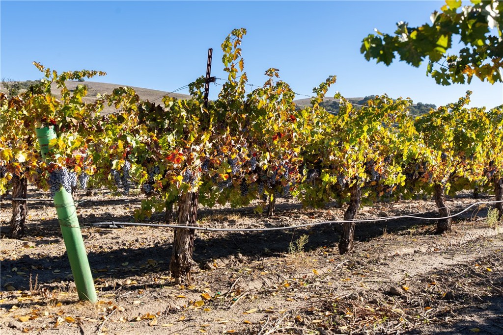 MLS #NS25262417 image #10