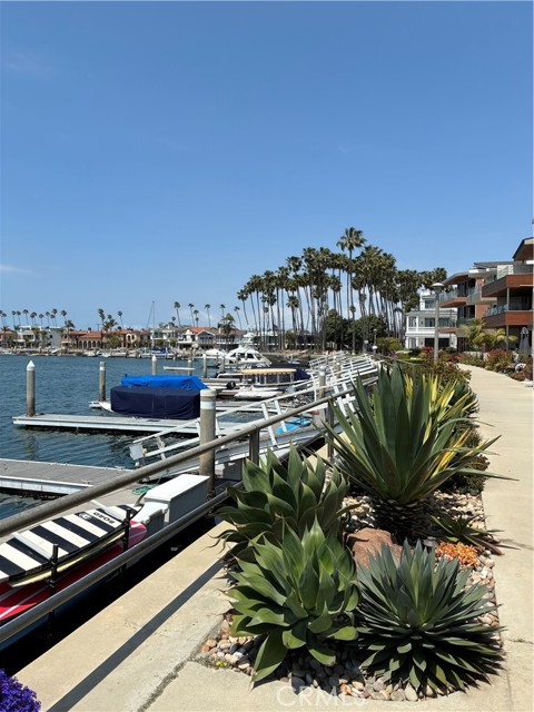 Detail Gallery Image 9 of 39 For 263 Ginevra, Long Beach,  CA 90803 - 3 Beds | 2 Baths