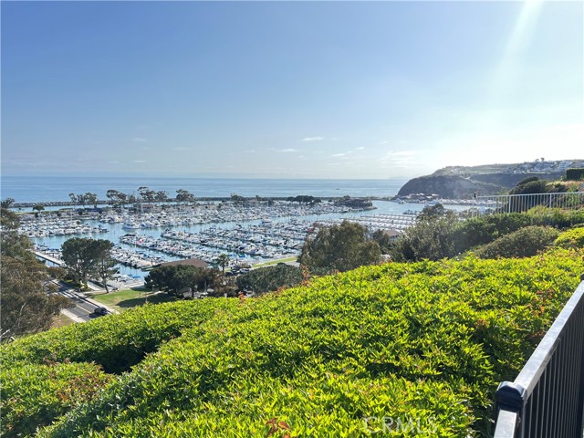 25081 La Cresta Drive, Dana Point CA: https://media.crmls.org/medias/51b01c7f-5cb2-40c2-8718-31942313f366.jpg