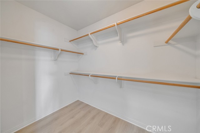 Image 37 of 57 For 14330 Wolfhound