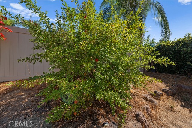 Detail Gallery Image 47 of 59 For 39688 Ridgedale Dr, Murrieta,  CA 92563 - 4 Beds | 3 Baths