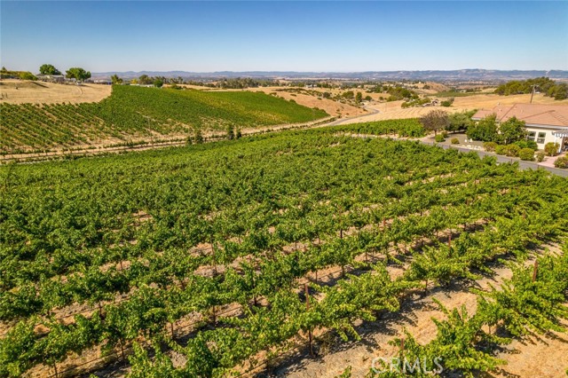 Detail Gallery Image 68 of 74 For 6172 Hawk Ridge Place, Paso Robles,  CA 93446 - 4 Beds | 3/1 Baths