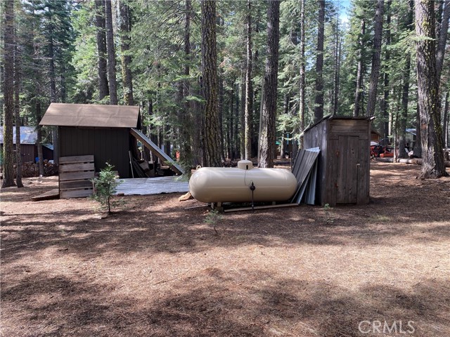 Storage Shed and 500 Gallon Propane Tank