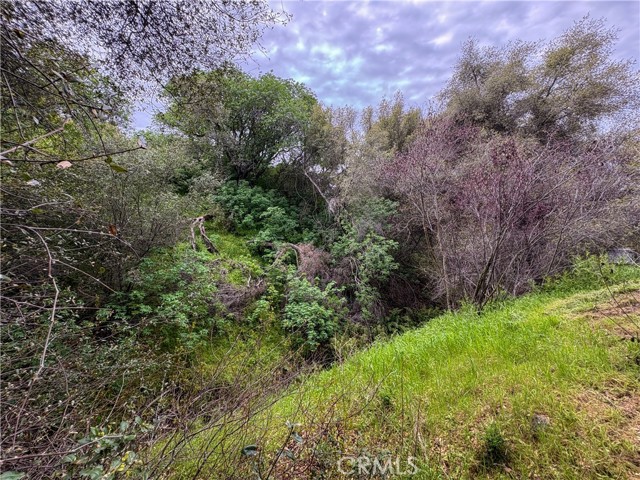 Detail Gallery Image 38 of 38 For 39313 Squaw Valley, Squaw Valley,  CA 93675 - 3 Beds | 2 Baths