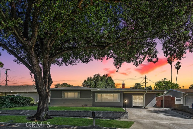 Front Image Thumbnail for CROC25187519