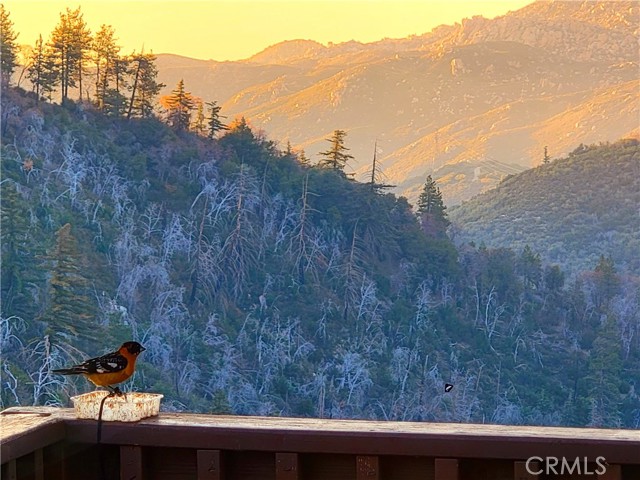 1119 Brentwood Drive, Lake Arrowhead CA: https://media.crmls.org/medias/51c6d9ca-5519-471d-9fdd-a8f206edae48.jpg