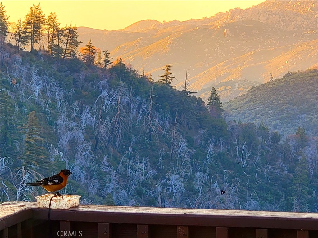 https://media.crmls.org/medias/51c6d9ca-5519-471d-9fdd-a8f206edae48.jpg?preset=X-Large