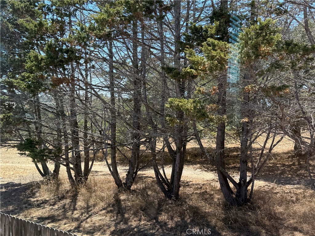 https://media.crmls.org/medias/51c6e1fc-027b-485b-93b6-3cbfbc5d25c7.jpg?preset=X-Large