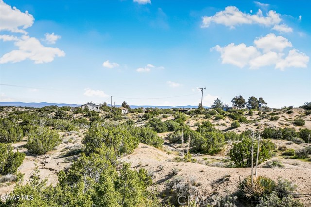 Detail Gallery Image 39 of 40 For 31720 96th Street East, Littlerock,  CA 93543 - 2 Beds | 2 Baths