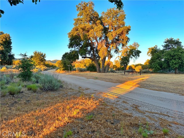 Detail Gallery Image 65 of 69 For 29820 Old Mitchell Camp Rd, Warner Springs,  CA 92086 - – Beds | – Baths