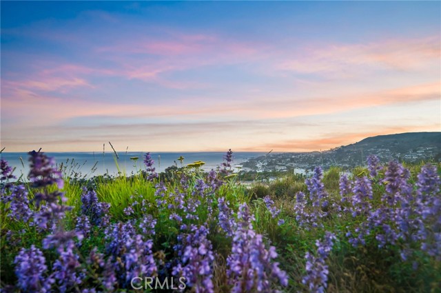 Detail Gallery Image 3 of 42 For 825 Coast View Dr, Laguna Beach,  CA 92651 - 3 Beds | 3/1 Baths