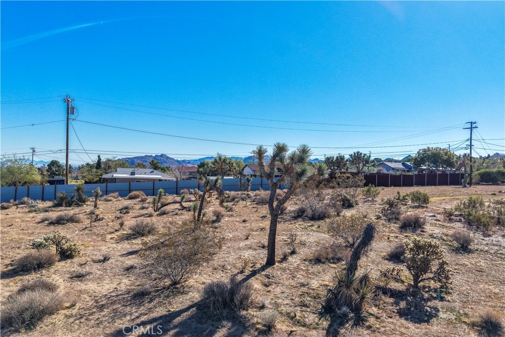 MLS #JT25246862 image #6