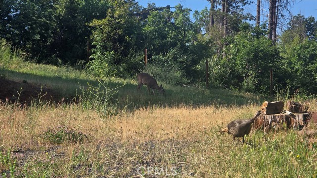 Detail Gallery Image 4 of 20 For 3810 Honey Run, Paradise,  CA 95969 - – Beds | – Baths