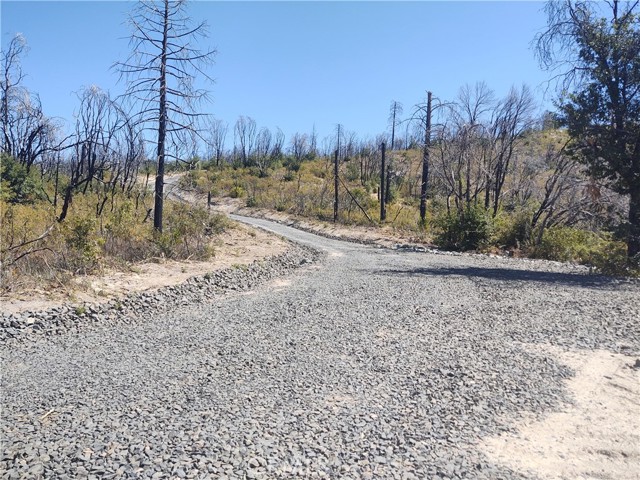 363 Raccoon Road, Berry Creek, California 95916, ,Land,For Sale,363 Raccoon Road,CROR24029245