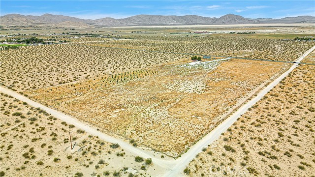 Detail Gallery Image 9 of 25 For 33633 Old Woman Spring Rd, Lucerne Valley,  CA 92356 - – Beds | – Baths
