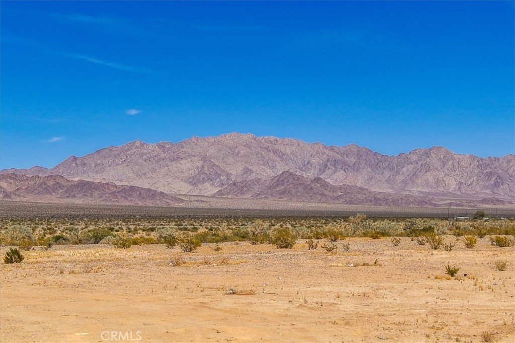 https://media.crmls.org/medias/51eb8c7e-0339-4ab5-bf2f-c171853d956e.jpg?preset=X-Large