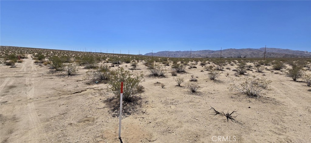 MLS #DW25164154 image #3