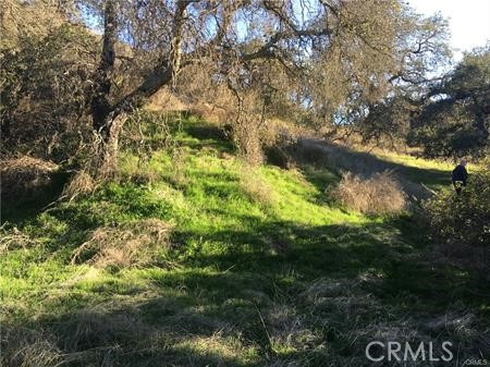 Detail Gallery Image 3 of 27 For 9 La Cruz Drive, Temecula,  CA 92590 - – Beds | – Baths