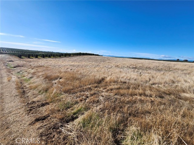 Detail Gallery Image 9 of 22 For 0 087-250-008-000, Corning,  CA 96021 - – Beds | – Baths