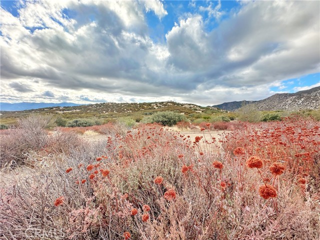 Detail Gallery Image 26 of 46 For 40 Acres via Oak Grove Ln, Ranchita,  CA 92066 - – Beds | – Baths