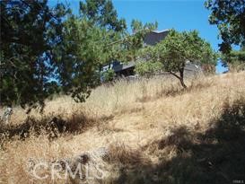 1650 Pierce, Cambria, California 93428, ,Land,For Sale,1650 Pierce,CRSC24028181