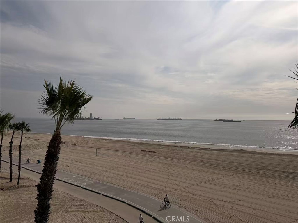 MLS #TR25260098 image #22