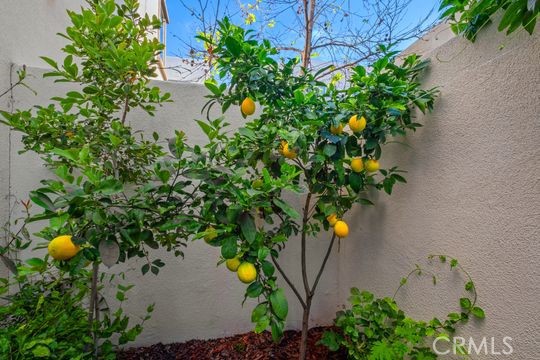 Detail Gallery Image 14 of 37 For 165 Frame, Irvine,  CA 92618 - 4 Beds | 3/1 Baths