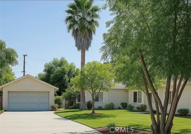 Front Image Thumbnail for CRGD25279995