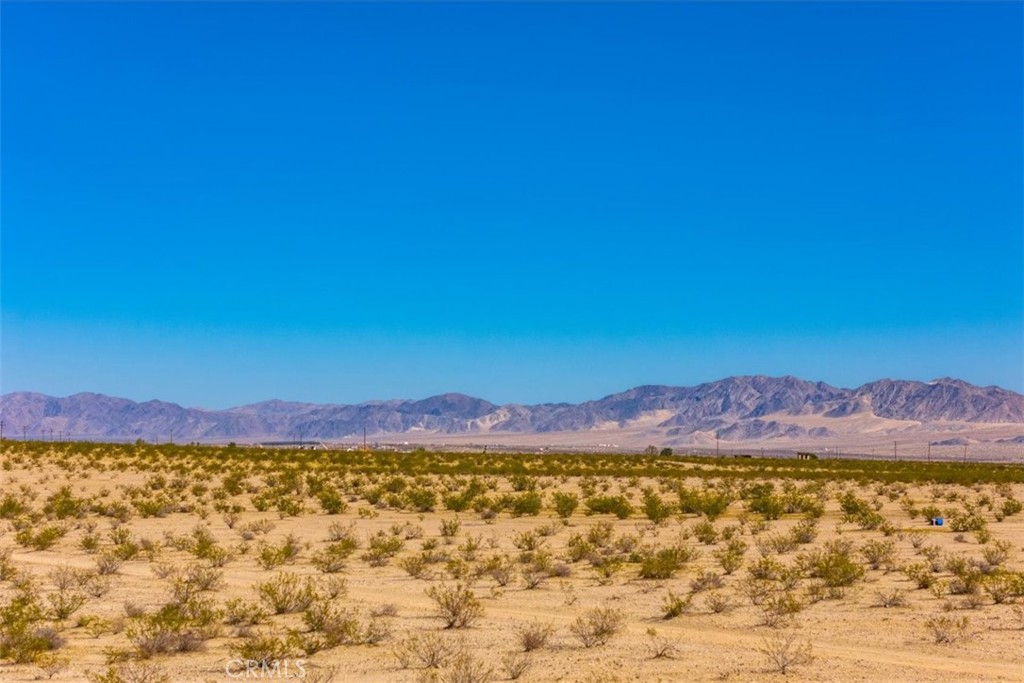 MLS #JT25225678 image #12