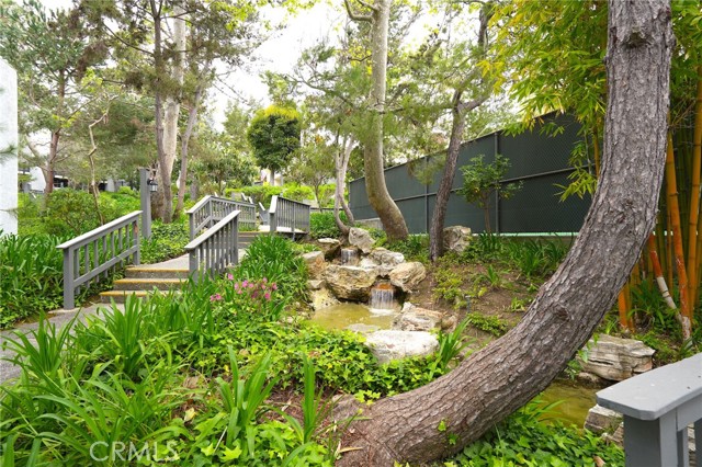 Streams waterfalls, Coy pond