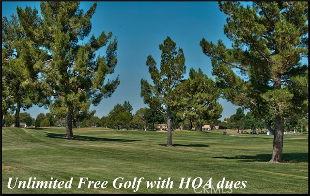 Detail Gallery Image 9 of 22 For 26701 Blue Water Rd, Helendale,  CA 92342 - – Beds | – Baths