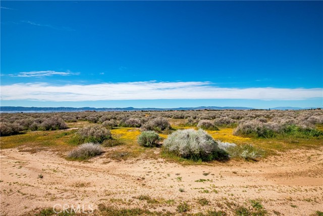 Detail Gallery Image 11 of 12 For 0 Avenue C-8, Antelope Acres,  CA 93536 - – Beds | – Baths