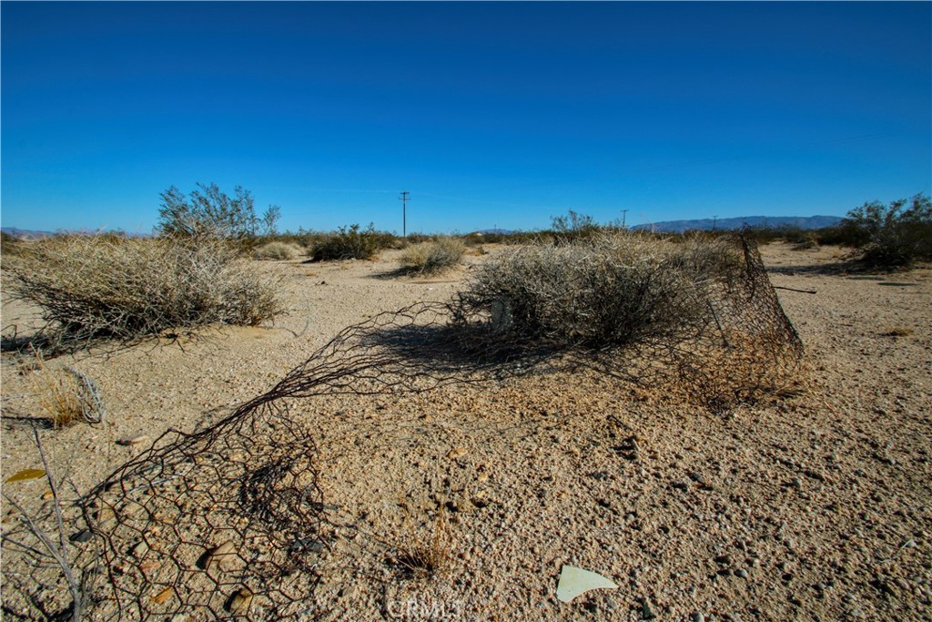 MLS #JT25235067 image #18