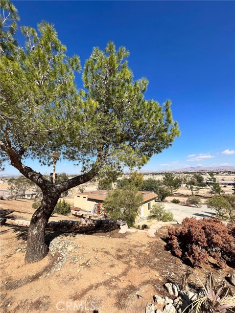18846 Valencia Street, Hesperia, CA, 92345 18846 Valencia Street, Hesperia, CA, 92345