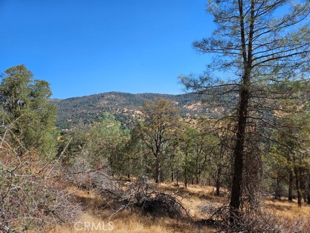 Detail Gallery Image 5 of 18 For 5640 Blue Oak Ridge Rd, Mariposa,  CA 95338 - – Beds | – Baths