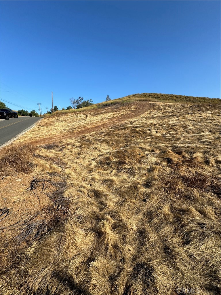 MLS #SW24109316 image #3