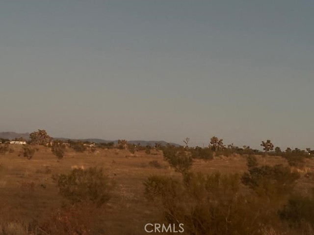 Front Image Thumbnail for CRRS26175739
