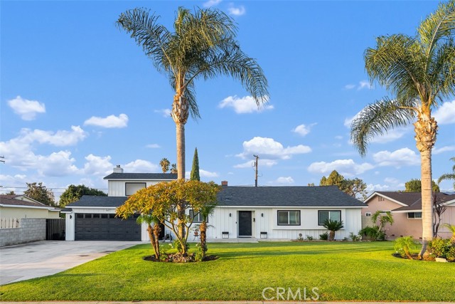 Front Image Thumbnail for CRIG25249916