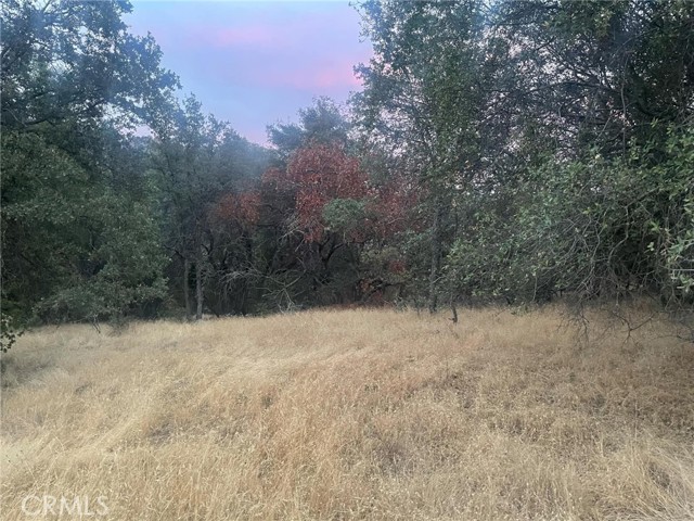 Detail Gallery Image 17 of 19 For 43020 Apache Ranch Rd, Ahwahnee,  CA 93601 - – Beds | – Baths