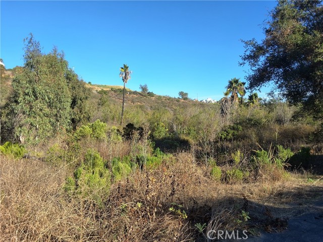 Detail Gallery Image 7 of 25 For 0 via Puerta Del Sol, Bonsall,  CA 92003 - – Beds | – Baths