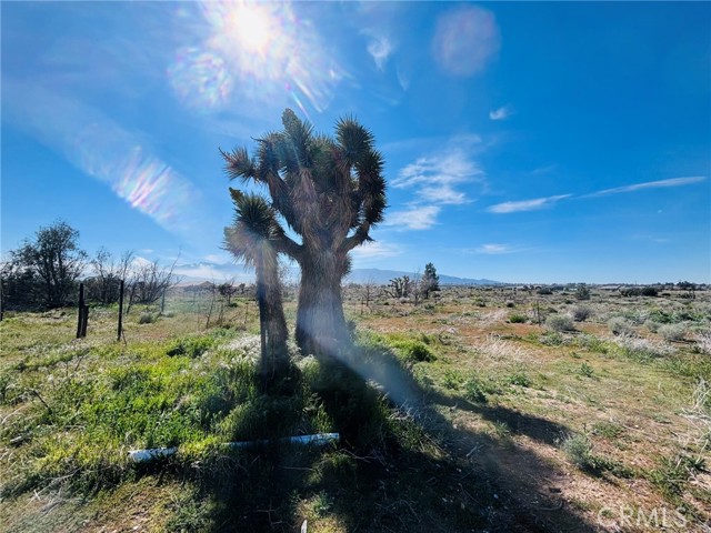 Detail Gallery Image 30 of 32 For 10024 Anderson Ranch, Phelan,  CA 92371 - 3 Beds | 2 Baths