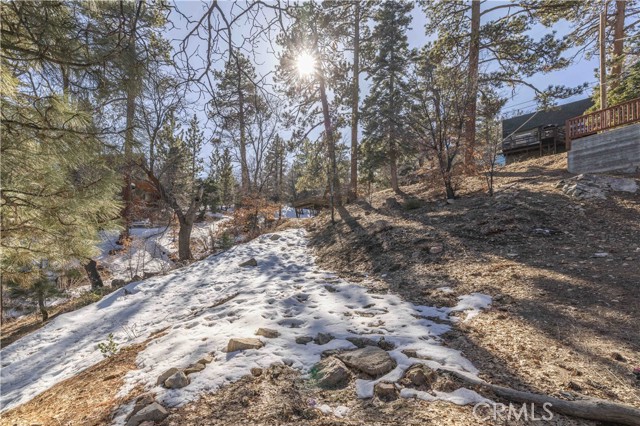 Detail Gallery Image 11 of 19 For 0 Pigeon Rd, Big Bear Lake,  CA 92315 - – Beds | – Baths