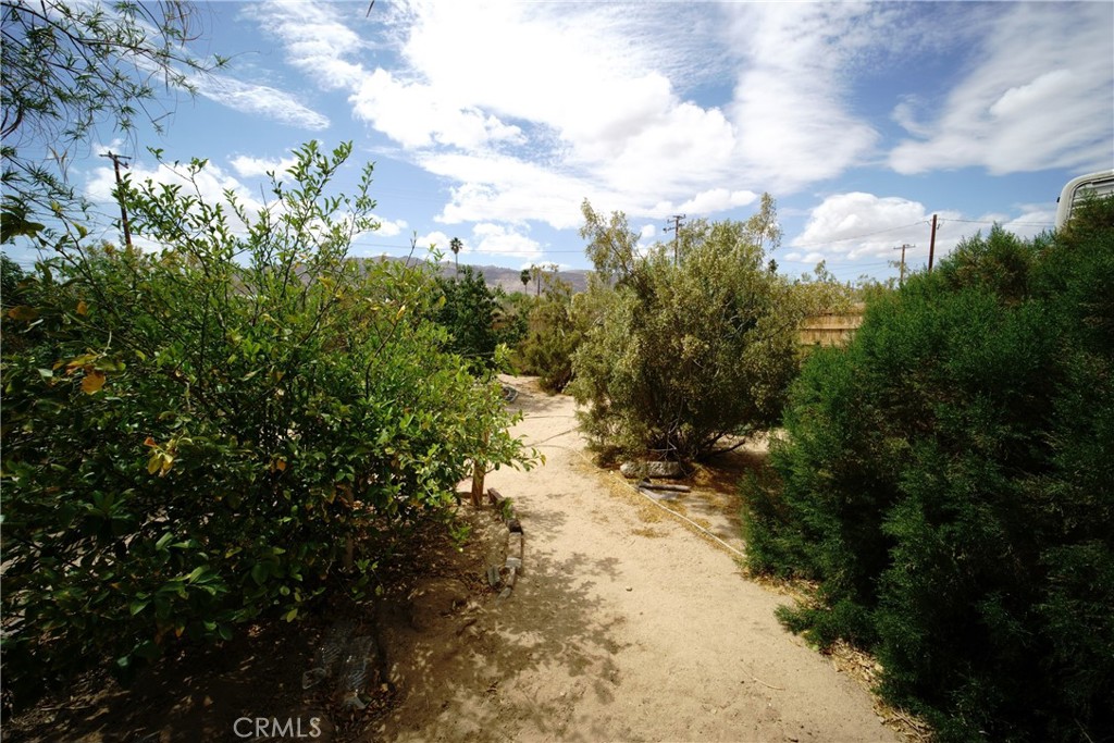 MLS #JT25086072 img 34