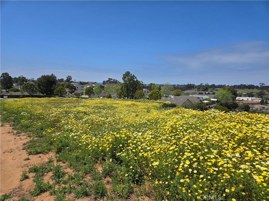 Sunny Creek Carlsbad