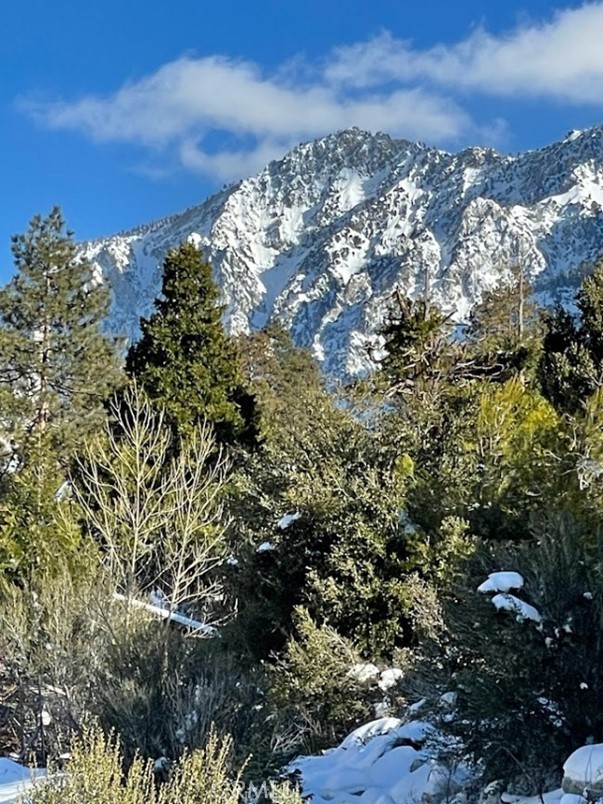 https://media.crmls.org/medias/52499e2a-e257-484d-9df9-d67ff2eab7dc.jpg?preset=X-Large