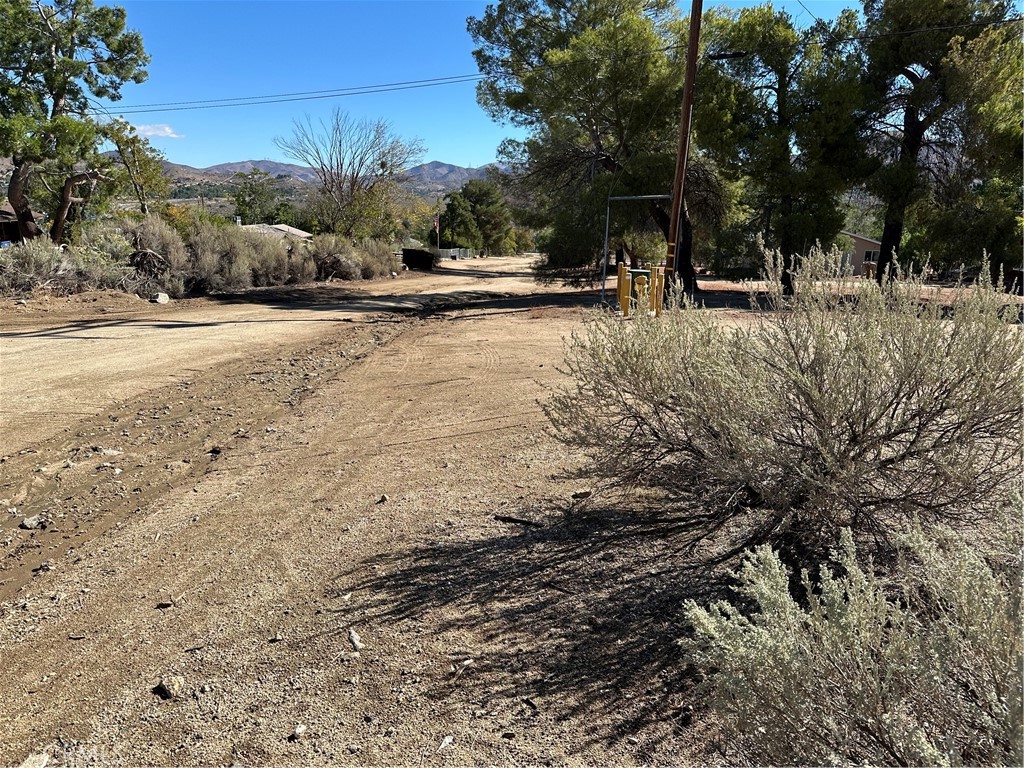 MLS #SR25263699 image #7