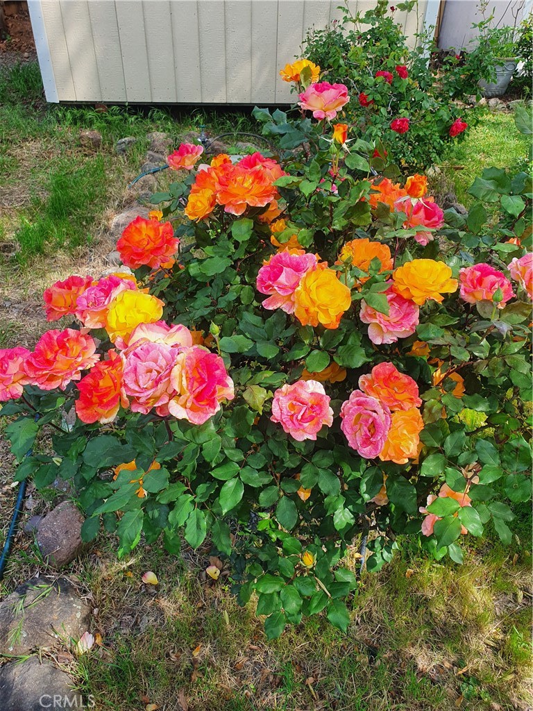 https://media.crmls.org/medias/52559745-655a-46f7-be9d-9fb7a1e0c794.jpg?preset=X-Large