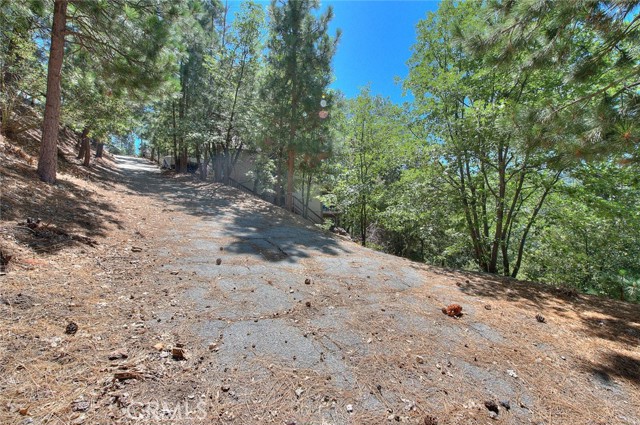 0 St Anton Drive, Lake Arrowhead, California 92352, ,Land,For Sale,0 St Anton Drive,CRCV23153140