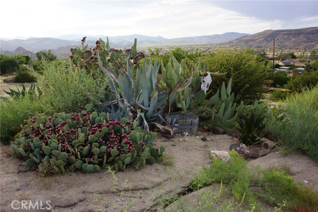 Detail Gallery Image 16 of 19 For 5646 Minna Gombell Ln, Pioneertown,  CA 92268 - 3 Beds | 3 Baths