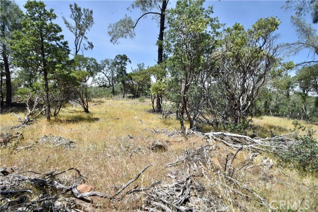 0 Mackey Court, Oroville CA: https://media.crmls.org/medias/52651ed6-df92-4616-9d4a-6482f3934480.jpg